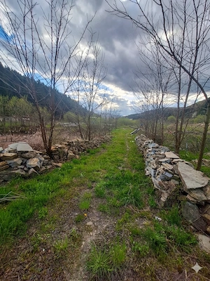 Oportunitate Unică de Investiție   Domeniu de 2,1 Ha în Bucovina (Suceava)  - imagine 4
