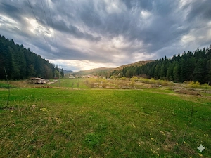 Oportunitate Unică de Investiție   Domeniu de 2,1 Ha în Bucovina (Suceava)  - imagine 6