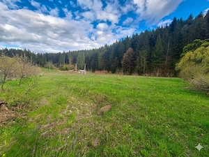  Oportunitate Unică de Investiție   Domeniu de 2,1 Ha în Bucovina (Suceava)  - imagine 7