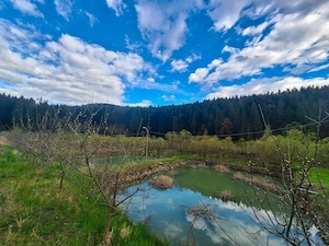  Oportunitate Unică de Investiție   Domeniu de 2,1 Ha în Bucovina (Suceava)  - imagine 8