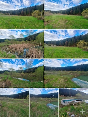  Oportunitate Unică de Investiție   Domeniu de 2,1 Ha în Bucovina (Suceava)  - imagine 10