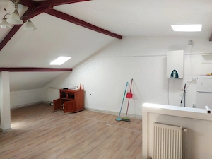 Dambovita apartament cu o cameră la casă - imagine 14
