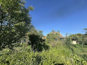 954 mp în Iosefin, Timișoara - 2 case independente, str. Gelu 220.000 EUR | Direct de la proprietar  - imagine 8