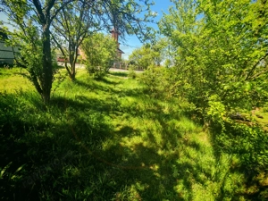 Teren central intravilan în Mioveni  - imagine 3