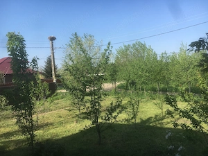 Refugiu la Dunăre: Casa batraneasca si teren generos cu livada 29800   - imagine 10