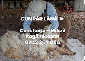 Ofer serviciu de colectare lână de oaie în zona Constanța.