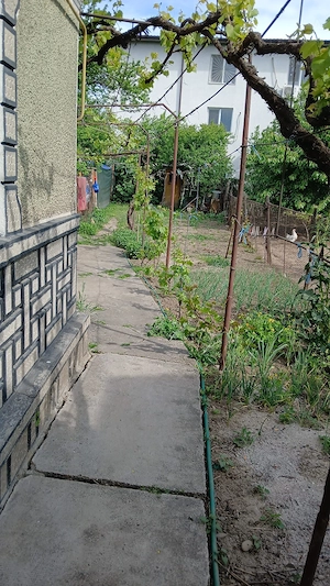 Casă de vânzare   zonă Parcul Marghiloman
