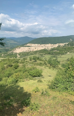 Vând teren,36 hectare,Jud  Buzău  - imagine 2