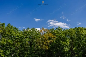 PUZ APROBAT - parcele padure între Timișoara și Ghiroda/Giarmata Vii - imagine 17