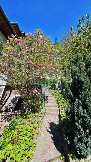 Apartament cu 3 camere de vânzare în zona Central - imagine 8