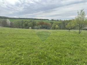 Teren 3,000mp Oslobeni / Strada Oslobeni punct GRADINA - imagine 2