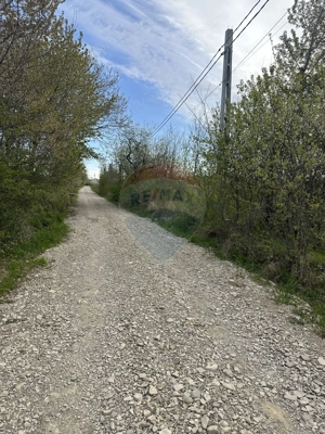 Teren 3,000mp Oslobeni / Strada Oslobeni punct GRADINA - imagine 4