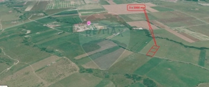 Teren 3000mp de vânzare în Râșnov / Pănicel - imagine 15
