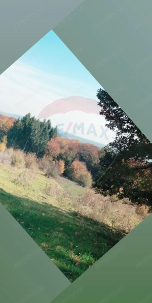 Teren aproape de pădure, situat într-o zonă aerisită - imagine 5
