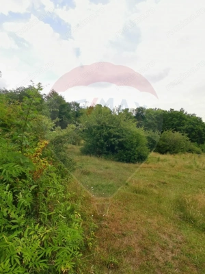 Teren aproape de pădure, situat într-o zonă aerisită - imagine 10