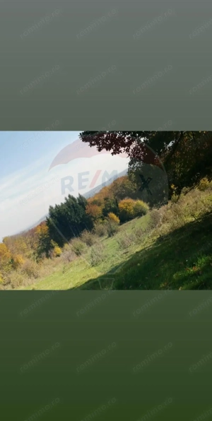 Teren aproape de pădure, situat într-o zonă aerisită - imagine 4