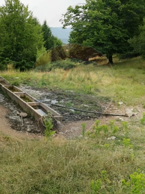 Teren aproape de pădure, situat într-o zonă aerisită - imagine 11