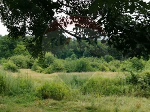 Teren aproape de pădure, situat într-o zonă aerisită - imagine 12
