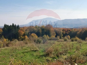 Teren aproape de pădure, situat într-o zonă aerisită - imagine 2