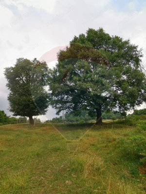 Teren aproape de pădure, situat într-o zonă aerisită - imagine 6