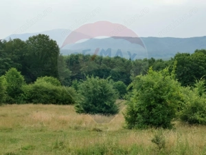 Teren aproape de pădure, situat într-o zonă aerisită - imagine 8