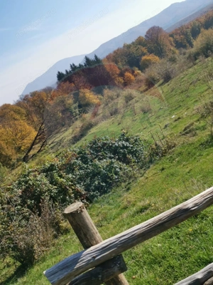 Teren aproape de pădure, situat într-o zonă aerisită - imagine 14