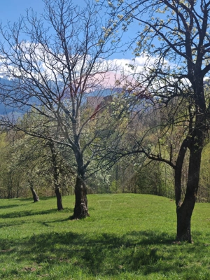 Ocazie! Teren 9735 mp Bran- Predelut / Strada Pe Tarina nr. 70A