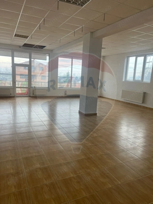 Casă / Vilă cu 11 camere de vânzare - imagine 10