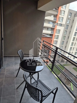Apartament cu 2 camere, judetul Timis, Aradului, Prima Inchiriere - imagine 9