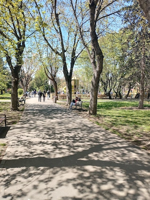 Taieri spatii verzi cu iarba