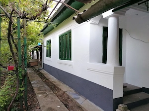 2 Case si teren de vanzare in Comuna VARTOP DOLJ - imagine 5