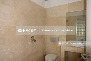 Vila pretabila pentru sediu firma, in zona Victoriei, ID 12355.99 - imagine 13