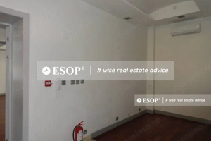 Vila pretabila pentru sediu firma, in zona Victoriei, ID 12355.99 - imagine 12