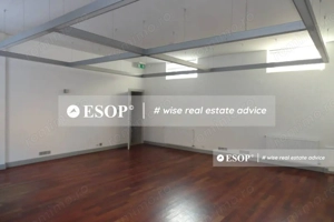 Vila pretabila pentru sediu firma, in zona Victoriei, ID 12355.99 - imagine 4