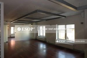 Vila pretabila pentru sediu firma, in zona Victoriei, ID 12355.99 - imagine 5