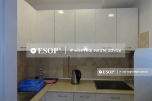 Vila pretabila pentru sediu firma, in zona Victoriei, ID 12355.99 - imagine 14