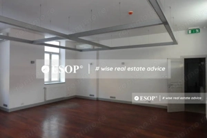 Vila pretabila pentru sediu firma, in zona Victoriei, ID 12355.99 - imagine 2