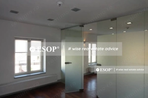 Vila pretabila pentru sediu firma, in zona Victoriei, ID 12355.99 - imagine 10