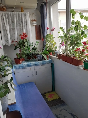 Vanzari apartamente 2 camere - imagine 10