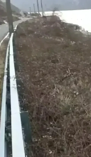 Vand Teren la Dunare(Svinița)-250m p si 500m p - imagine 3