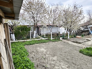 Râmniceni Vrancea casa de vanzare - imagine 6