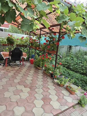 Vand casa in Tg Mures , zona Libertatii - imagine 9