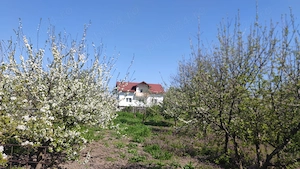 45000  casa bătrânească cu teren total 4000 mp - imagine 6