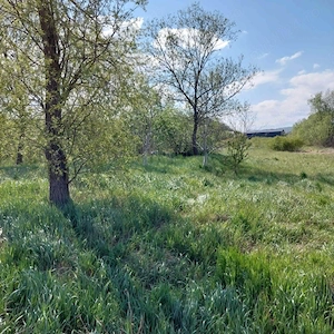 Vand teren intravilan, in Dej  - imagine 5