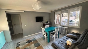 Apartament cu 2 camere - Take Ionescu - Parter - imagine 4