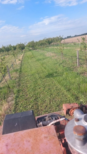 Tocare vegetație + defrișare terenuri cu tocător vegetal