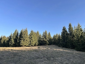 Teren de Vanzare VF. Pangarati, Lacul Rosu 