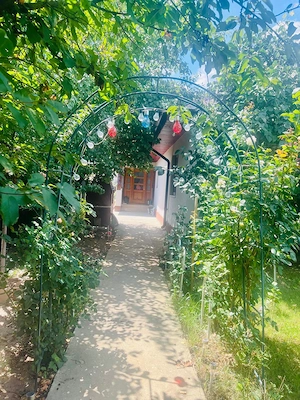 Casa de vânzare Comuna Cernica, sat Balaceanca 