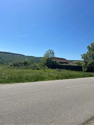 Teren de vanzare intravilan 