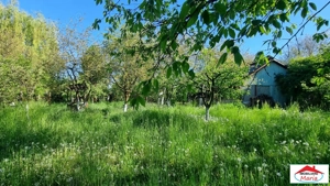 Teren intravilan strada Cimbrului zona Bercu Rosu
